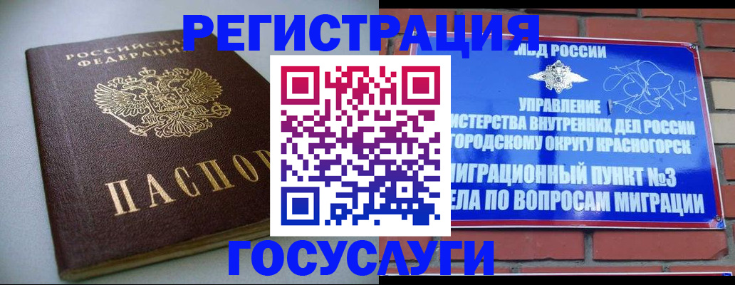 временная прописка в Михайловке